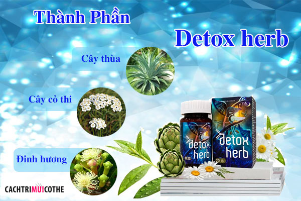 thành phần detox herb